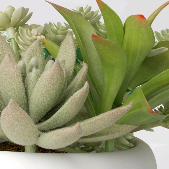 Threshold NWT 6.5" Tray Succulents Artificial Plant Ceramic Pot - Indoor/Outdoor - Picture 3 of 6